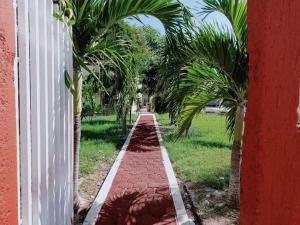 un camino de ladrillo entre dos palmeras junto a un edificio en Estrella de Mar: Departamento en Progreso en Progreso