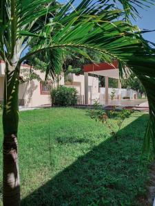 una palmera en el patio de una casa en Estrella de Mar: Departamento en Progreso en Progreso