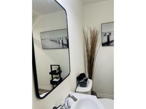 a bathroom with a mirror and a sink at The Artistry I Sled In & Sled Out I Riverside I TV in Bancroft