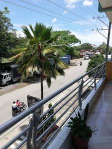 eine Palme auf einem Balkon mit Straße in der Unterkunft Alojamiento Panamericano San Miguel in El Bordo