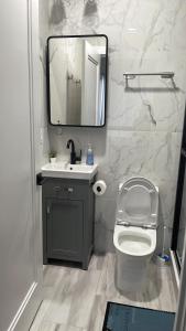 uma casa de banho com um lavatório, um WC e um espelho. em luxurious big house em Jersey City