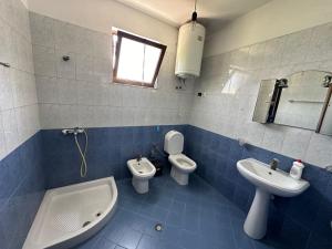 ein Bad mit einem Waschbecken, einem WC und einem Bidet in der Unterkunft Casa in Albania a Tirana vicino il centro in Tirana