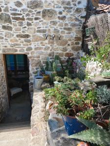 ein Eingang zu einem Steingebäude mit einem Haufen Pflanzen in der Unterkunft Le temps retrouvé Maison de village de charme in Caunes-Minervois