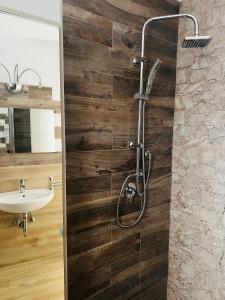 ein Bad mit einer Dusche und einem Waschbecken in der Unterkunft Casa Emma in Porto Ceresio