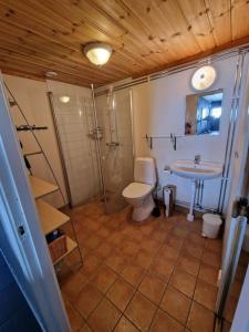 a bathroom with a toilet and a sink at Tänndalen - Äventyr & natur i fjällen in Tänndalen