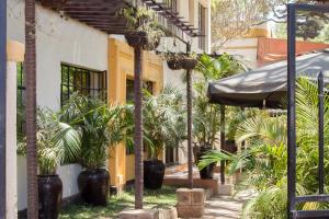 a courtyard with palm trees and an umbrella at Capital Heights Hotel in Nairobi