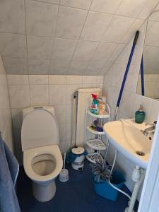 een kleine badkamer met een toilet en een wastafel bij hus,2 sovrum, 2 våning, 2 badrum in Simrishamn