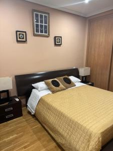 1 dormitorio con 1 cama con 2 almohadas en Hoster Carboneros Verona, en Tomelloso