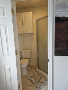 a bathroom with a toilet and a walk in shower at 1609 Esteban St New Orleans/Arabi in Arabi