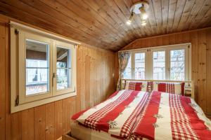 - une chambre avec un lit et 2 fenêtres dans l'établissement Apartment am schönen Brienzersee, à Brienz