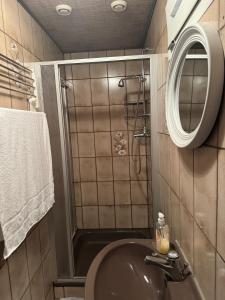 ein Bad mit einem Waschbecken und einer Dusche mit einem Spiegel in der Unterkunft 2 Bedrooms, 2 Baths House with a Living Room an Upstairs Reception rea in Wien