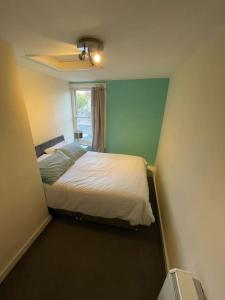 Schlafzimmer mit einem Bett und einem Deckenventilator in der Unterkunft City Heights inquire for FREE Parking in Kent