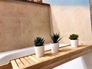 three potted plants sitting on a wooden shelf in a bath tub at BackHome - Fantastische Lage, SmartTV, Netflix, 50qm, 24h Checkin - Apartment 5 in Schwäbisch Hall