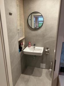 een badkamer met een wastafel en een spiegel bij Innenstadtwohnung mit Klima - RMI 1 in Wiener Neustadt
