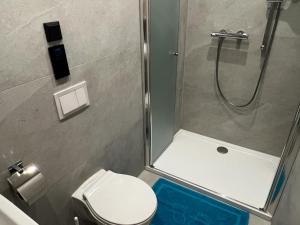 La petite salle de bains est pourvue d'une douche et de toilettes. dans l'établissement cozy central apartment in the middle of Wiener Neustadt - RMI 2, à Wiener Neustadt