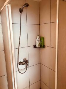 a shower in a bathroom with a shower head at Joy City Stay Unirii19 in Timişoara