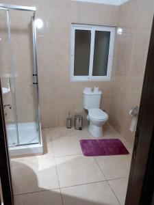 y baño con aseo y ducha acristalada. en Holiday Apartment, Gzira, Malta, en Il-Gżira
