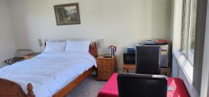 een slaapkamer met een bed, een stoel en een raam bij Villa Shemshi in Gisborne