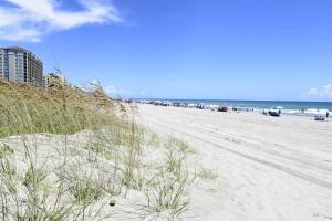 a sandy beach with tall grass and the ocean at Oceanfront and Modern Top Location on Ocean Blvd w Pool in Myrtle Beach