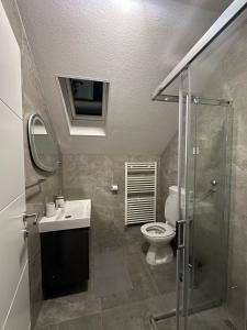 y baño con aseo, lavabo y ducha. en Apartment Rosandić, en Smoljanac