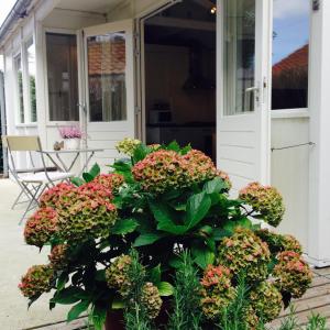 un porche delantero con flores en una casa en Tiny House Madame Jeanette, en Zandvoort
