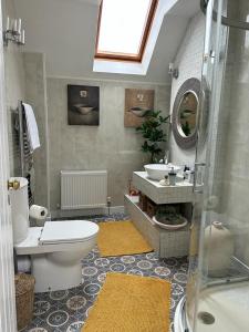La salle de bains est pourvue de toilettes, d'un lavabo et d'un miroir. dans l'établissement An Teach Cnoc, à Monaghan