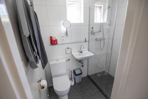 uma pequena casa de banho com WC e lavatório em Hello Zeeland - Villa Jhr de Casembrootplein 23 em Domburg