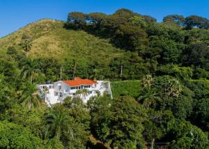 a house on top of a hill with trees at Casa Jobo - Mountain & Sea Panoramic view- 3Bedrooms in San Felipe de Puerto Plata
