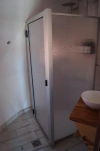 a shower door in a bathroom next to a sink at Cinco Cumbres in Uspallata