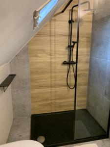 a bathroom with a shower with a glass door at Apartamenty Astor - Słoneczny in Szczawno-Zdrój