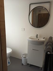 baño con lavabo y espejo en la pared en Old Colony Inn, en New Norfolk