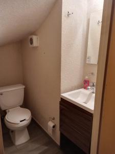 a small bathroom with a toilet and a sink at Llegaste a casa almendros in Santa Cruz Tecamac