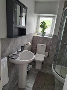 uma casa de banho com um lavatório, um WC e um chuveiro em Old Sun Hotel em Haworth