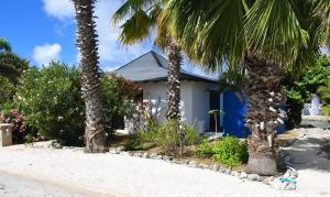 ein Haus mit Palmen davor in der Unterkunft Villa de Agua 7 in Waterlands Village in Kralendijk + 18 Fotos