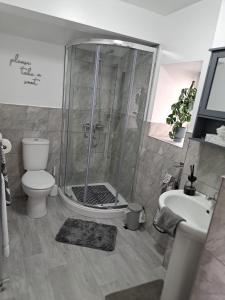 uma casa de banho com um chuveiro, um WC e um lavatório. em Old Sun Hotel em Haworth