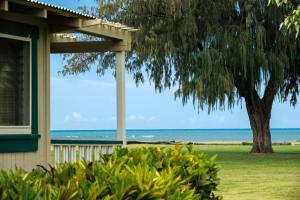 Waimeaにあるワイメア プランテーション コテージズ ア コースト リゾートの背景の木と海を背景にした家