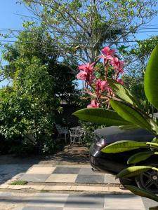 une voiture noire garée dans un jardin avec des fleurs roses dans l'établissement Descansa y viaja bleseed house, à Monte Adentro