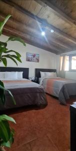 - une chambre avec deux lits et une plante dans l'établissement Hotel Villas Mariposas, à Atlixco