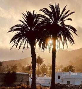 two palm trees in front of a building with the sunset at Casa victoria in Soo