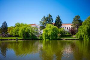 a view of a pond in front of a building at Snagov Lake Apartments - Club Lac Snagov in Turbaţi