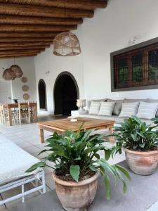 a living room with two potted plants and a table at Cálida casa en el corazón de Chacras de Coria in Ciudad Lujan de Cuyo