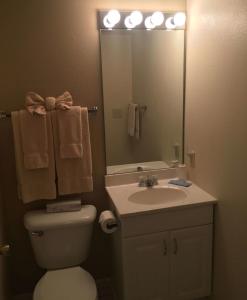 a bathroom with a toilet and a sink and a mirror at Lake Condo with Heated Pool and Hot Tub at Lake Ozark in Osage Beach