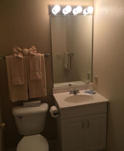 a bathroom with a toilet and a sink and a mirror at Condo with Heated Pool and Indoor Hot Tub and Shuffleboard at Lake Ozarks in Osage Beach