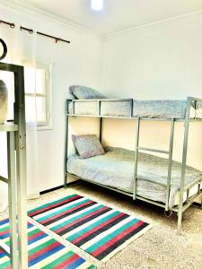 Zimmer mit 2 Etagenbetten und einem Teppich in der Unterkunft Hostel le Rhumel in Constantine
