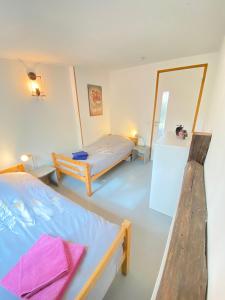 1 Schlafzimmer mit 2 Betten und einem Spiegel in der Unterkunft Gîte les chênes verts - Périgord noir in Saint-Amand-de-Coly