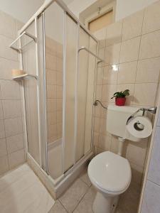 a bathroom with a toilet and a shower at Apartments with a parking space Slano, Dubrovnik - 8540 in Slano