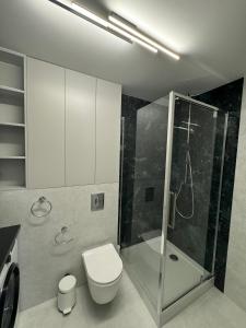 ワルシャワにあるApartament Delux Centrum Warszawaのバスルーム(トイレ、ガラス張りのシャワー付)