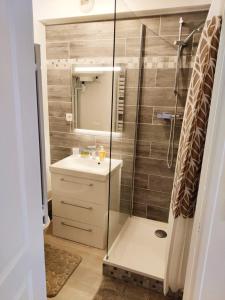 uma casa de banho com um chuveiro, um lavatório e um espelho. em Cozy 2-room 3 min from Mantes train station em Mantes-la-Jolie