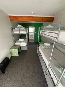 a room with bunk beds and a green wall at Peppertree Lodge & Backpackers in Paihia