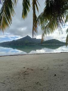 a beach with a palm tree and a body of water at Poemanahere island in Te-Fare-Arii